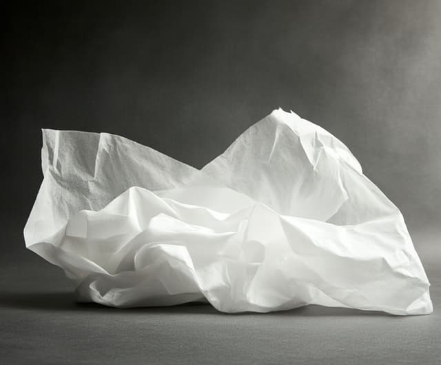 真實風 | 產品圖